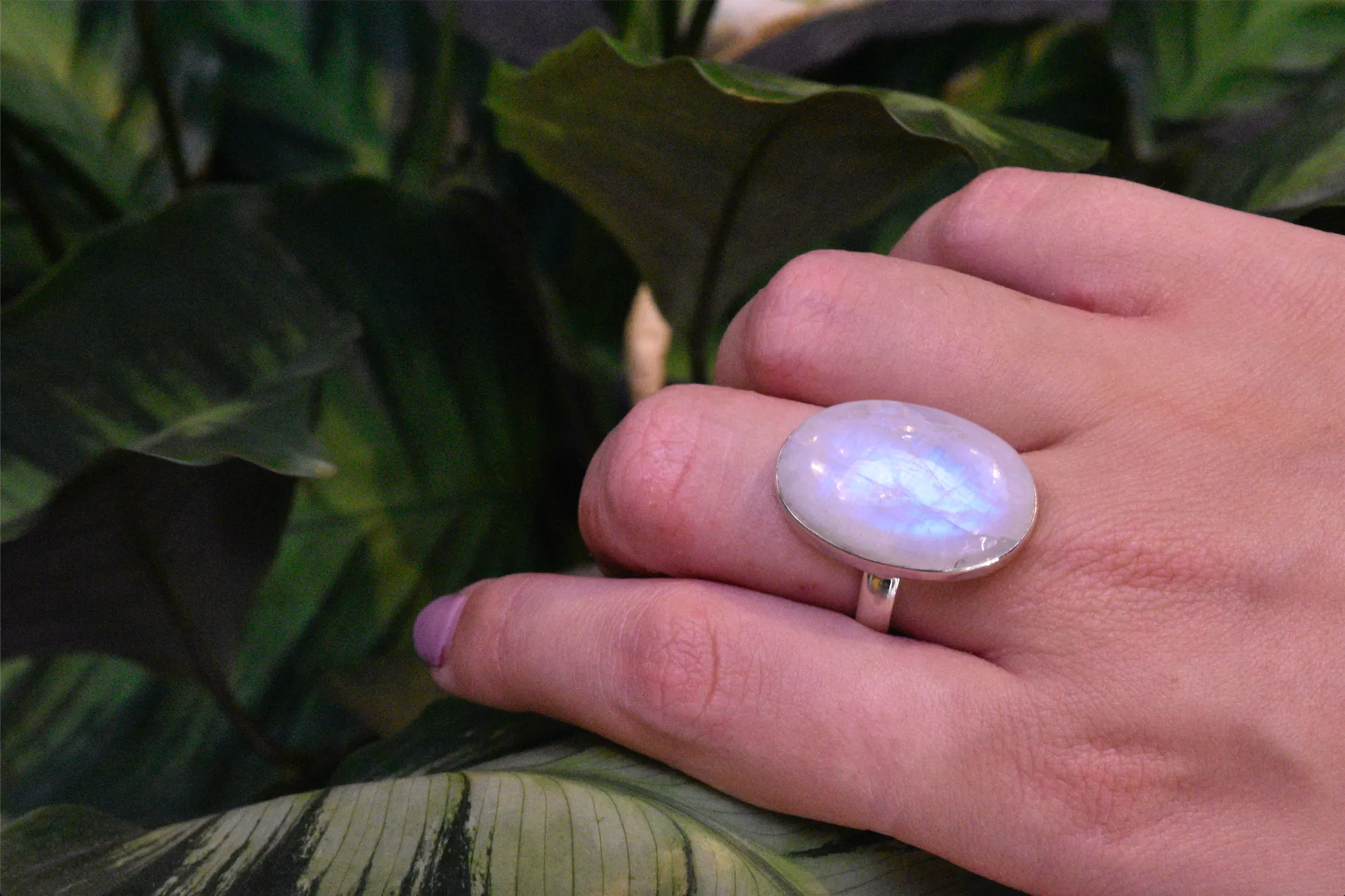 Moonstone Akoni Ring - Large Oval